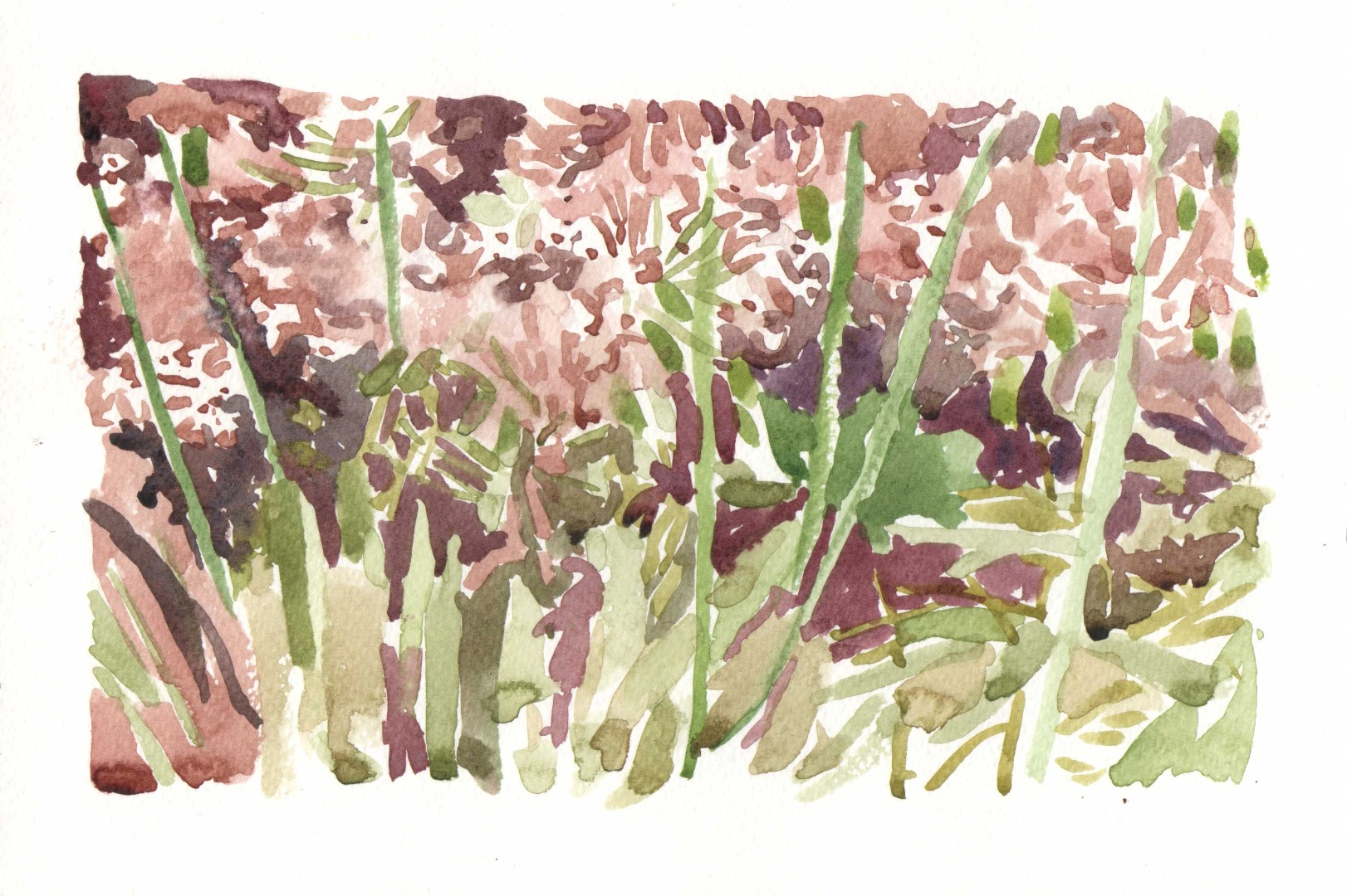 Aproximaciones en rojo